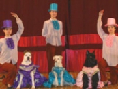 Цирк дрессированных собак